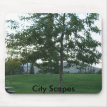 003 stad Scapes Mus Matta
