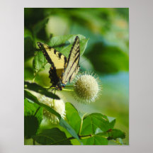 070210-2-AWA PRINT