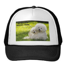 07 DE ISHBILIA BICHON FRISE KEPSAR