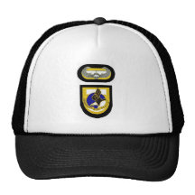 101st Abn Hat with HQ Flash DUI Air Assault Badge