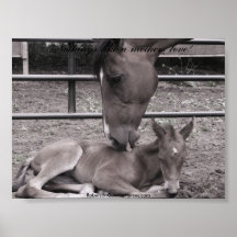 118 RobersonQuarterHorses.com, ingenting gillar… Posters