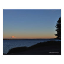 11X14 Mount Rainier och Nisqually räckvidd Fotokonst