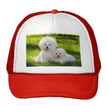 16 DE ISHBILIA BICHON FRISE KEPS