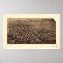 1899 Fort Collins, CO-fåglar synar beskådar panora Posters