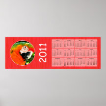 2011 scharlakansröda Macawkalender Affisch