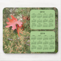 2013-2014 kalender mus matta