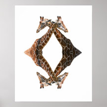 20A - QUADGIRAFFEL på vit (16x20) Print