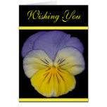 22 Pansy Yellow Blue Greeting Card