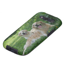 2 guld- Retrievers som lägger i gräs Galaxy S3 Cover