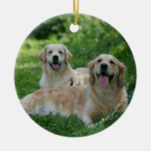 2 guld- Retrievers som lägger i gräs Julgranskulor