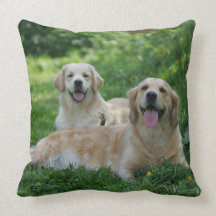 2 guld- Retrievers som lägger i gräs Kudde