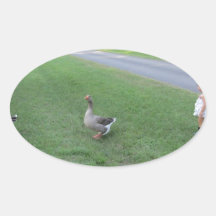 311778_135733203190700_1619317750_n.jpg oval sticker