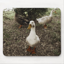 3 Amigos - mousepad Mus Mattor