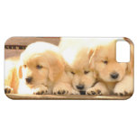 3 fodral för valpiPhone 5 iPhone 5 Case-Mate Fodraler