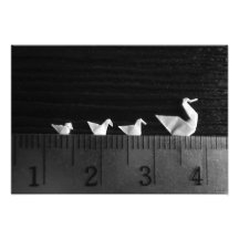 3cm familjsimma konstfoto