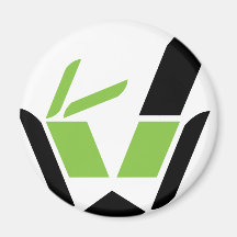 6 KYLSKÅPMAGNETER