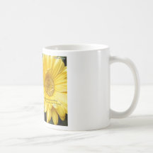 6 MUGG