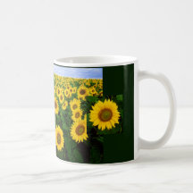 800px-Sunflowers 200px-Fleur-de-Tournesol, 200… Kaffe Kopp