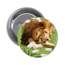 85 african-lion-st-patricks-0052 knapp