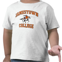 9136bcbb-7 t shirts