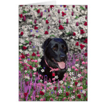 Abby i blommor - svart lab hund hälsnings kort