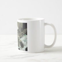 abby kaffe koppar