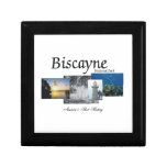ABH Biscayne Minnessak