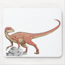 Abrictosaurus - Jurassic Dinosaur Mus Mattor