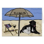 AC är det en hund liv Notecards Kort