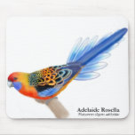 Adelaide Rosella papegoja Mousepad Mus Mattor