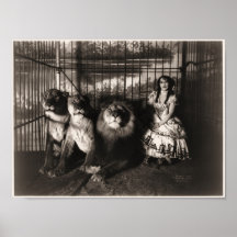 Adgie och lejon 1899 posters