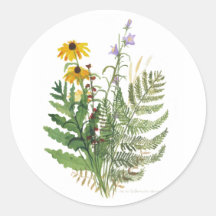 Adirondack blommigtklistermärke