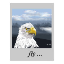 Adler flieg... postkarte