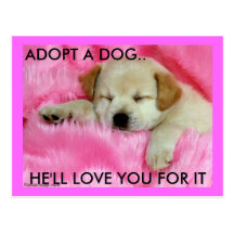 ADOPTERA EN HUNDVYKORT