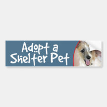 Adoptera en Russell för skyddhusdjurjacken Terrier Bildekal