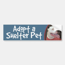 Adoptera en skyddHusdjur-Vit Pitbull bildekal