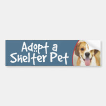 Adoptera en skyddhusdjurBeagle-Bulldogg Bildekal