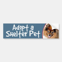 Adoptera ett skyddhusdjur Pomeranian Bildekal