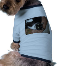 Adoptiv- katt för lycklig t-shirt för husdjur