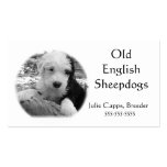 Affärer A001 - Gammal engelsk Sheepdog Visitkort Mallar