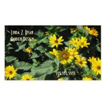 Affärer G008 - SommarsolHeliopsis Visitkort