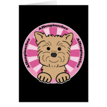 Affenpinscher Kort