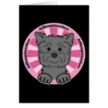 Affenpinscher Kort