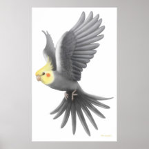 Affisch för flygCockatielpapegoja