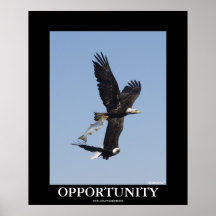 Affisch för foto för tillfälleörnar Motivational