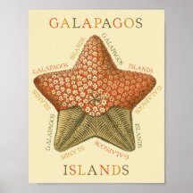 Affisch för Galapagos ösjöstjärna