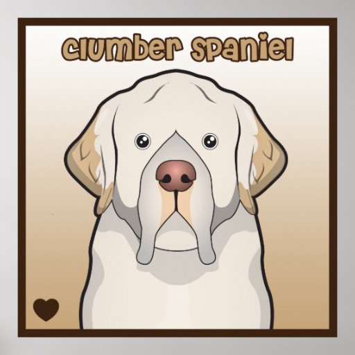 Affisch för hjärta för tecknad för Clumber Spaniel