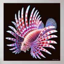 Affisch för korallrevLionfish