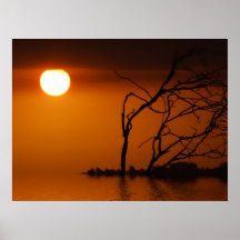 affisch för solnedgångsolsilhouette