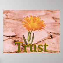 Affisch-Skräddarsy blomma rostig jord för förtroen